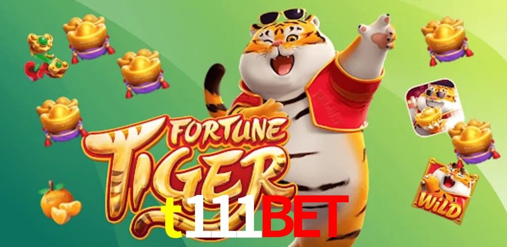 Player Reviews t111bet
